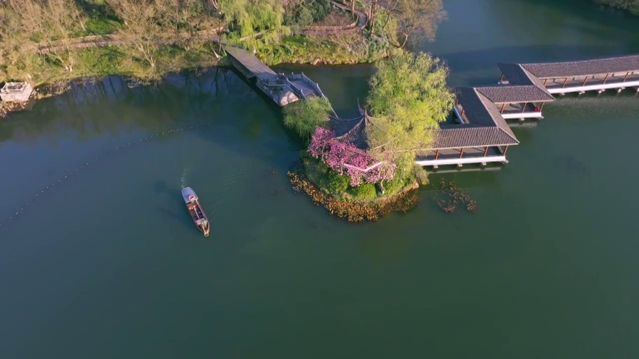 西湖浴鹄湾春色视频素材