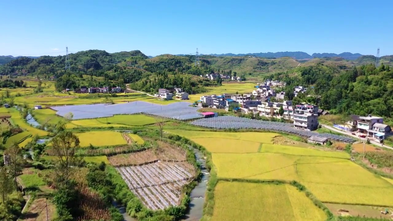 航拍稻田视频素材