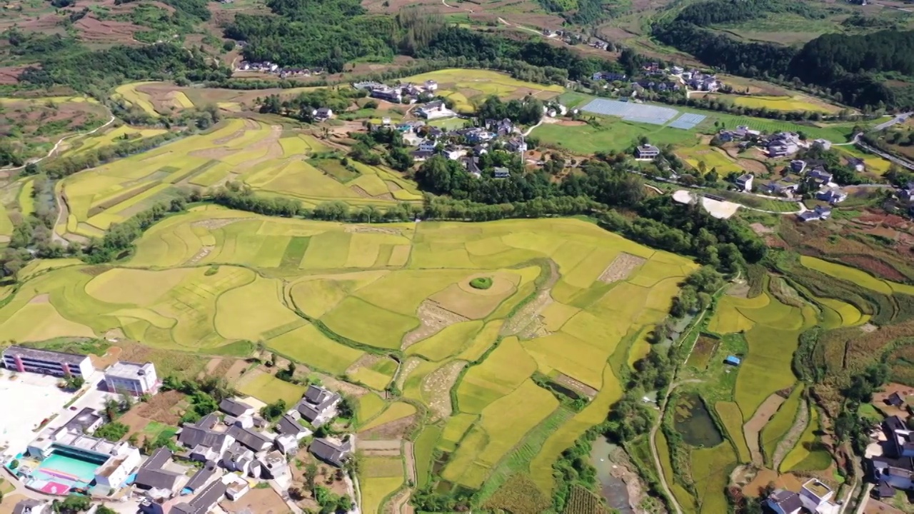 航拍稻田视频素材