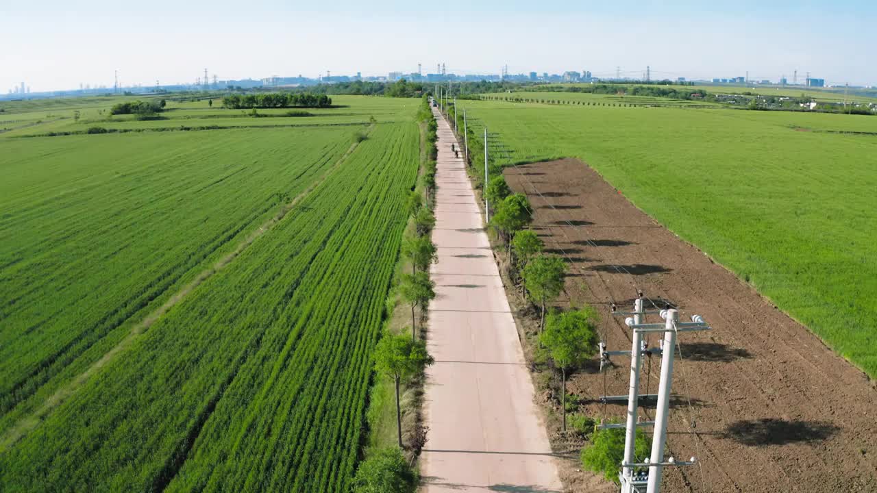 合集_秦岭神禾源麦田航拍4k（合集）视频素材