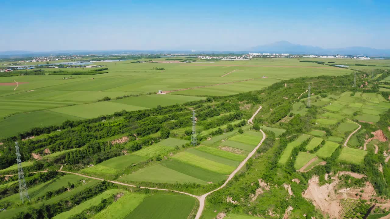 合集_西安少陵原麦田航拍4k（合集）视频素材