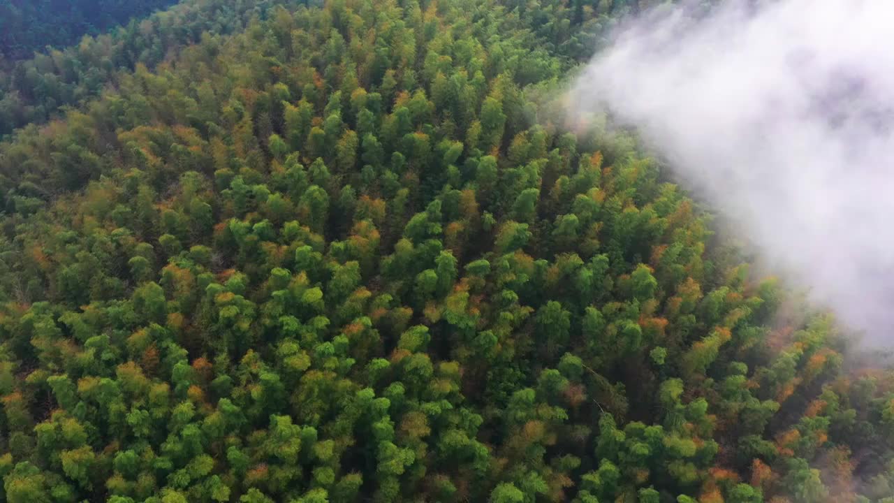 航拍黄山高山乡村春天景色视频素材