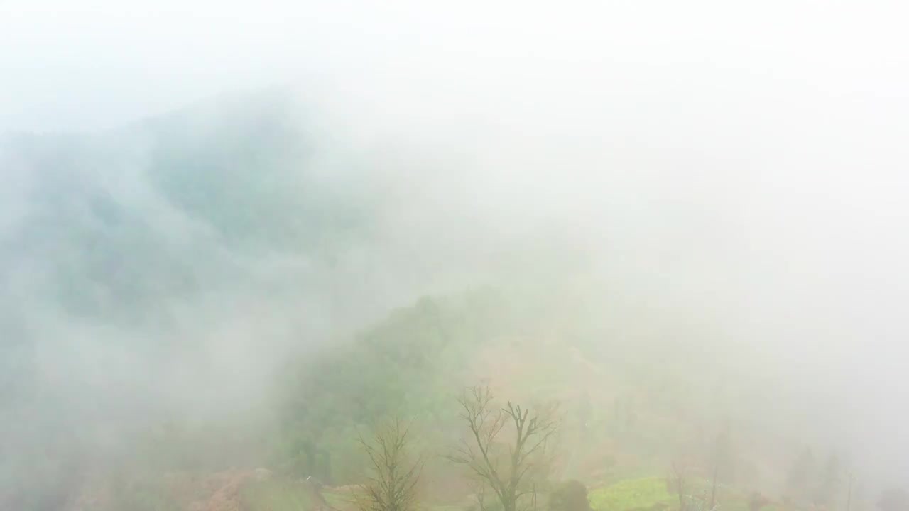 航拍黄山高山乡村春天景色视频素材