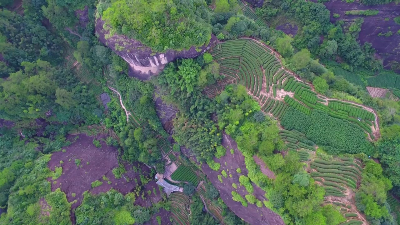 航拍武夷山山谷中的大红袍茶园与岩茶茶山及阳光下的丹霞地貌视频素材