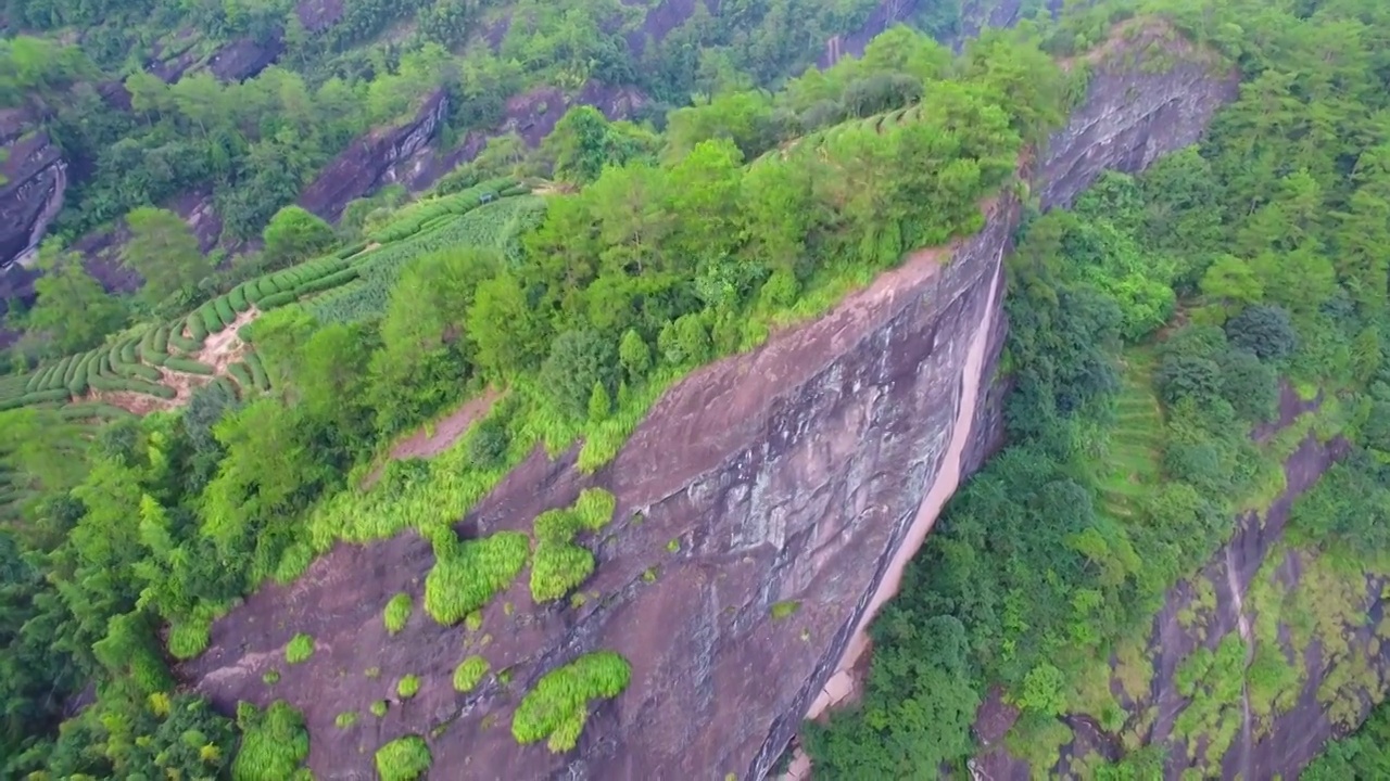 航拍武夷山岩茶大红袍茶叶产地三坑两涧正岩茶区视频素材