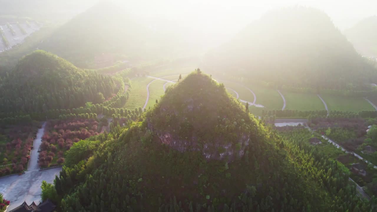 丘比特花海视频素材