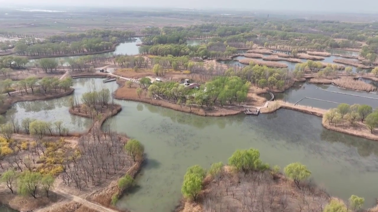 济南玉清湖济西湿地视频下载