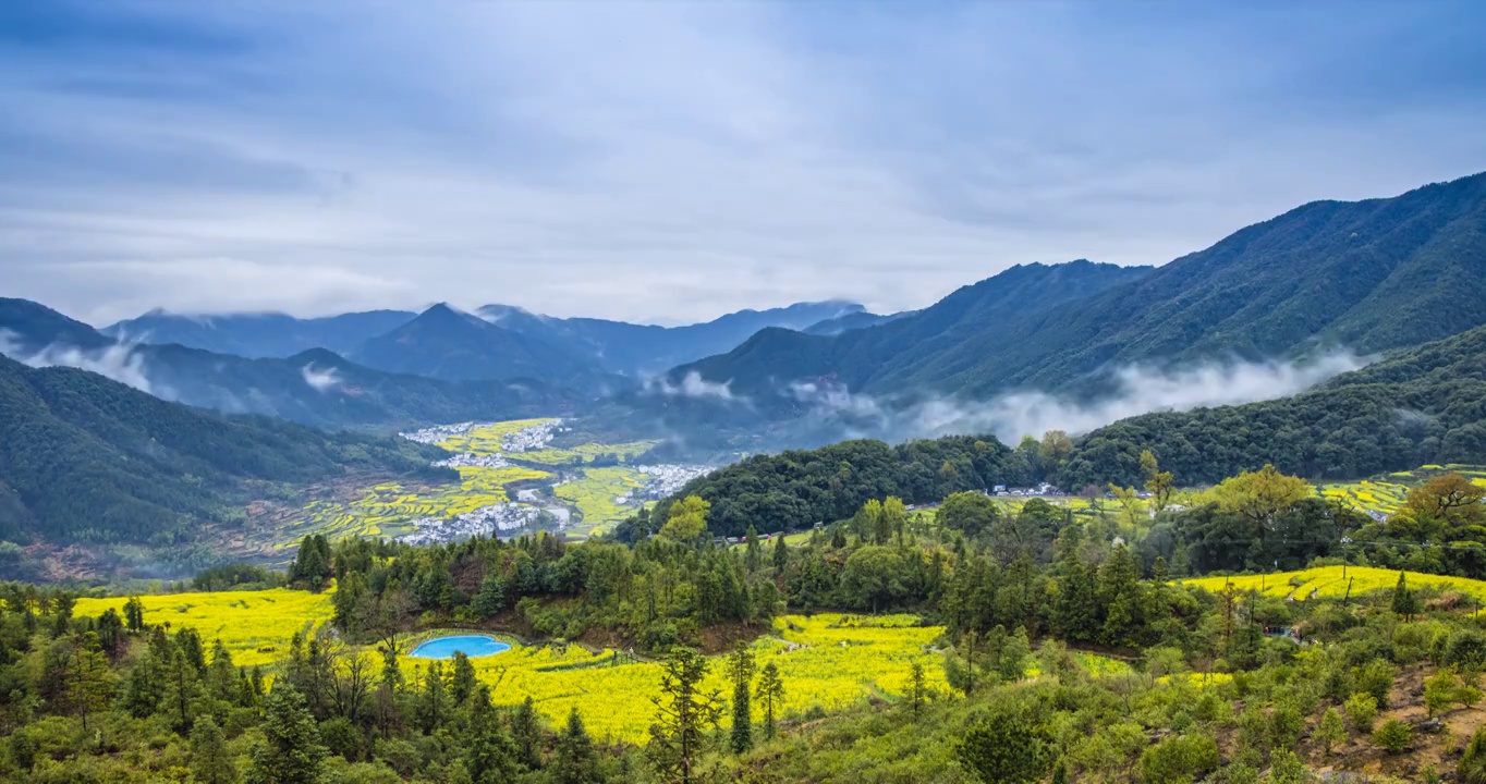 婺源江岭油菜花视频素材