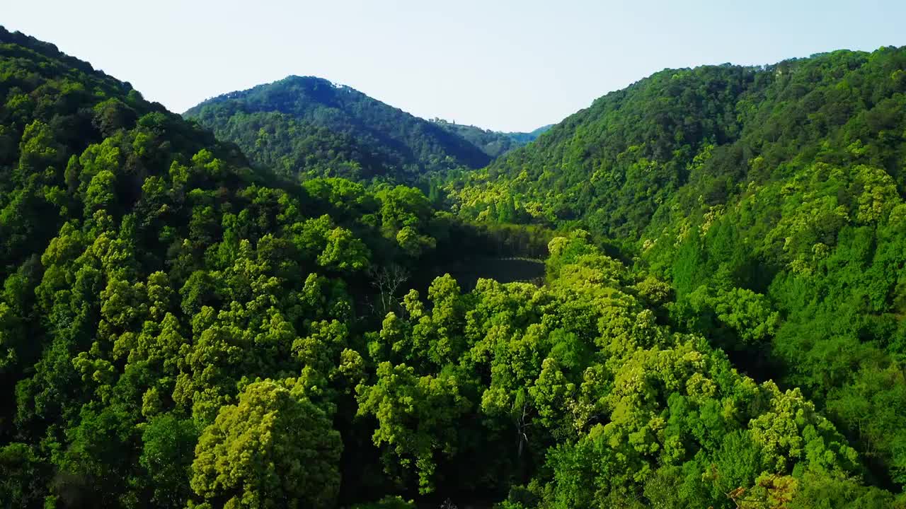 杭州西湖的绿色群山视频素材