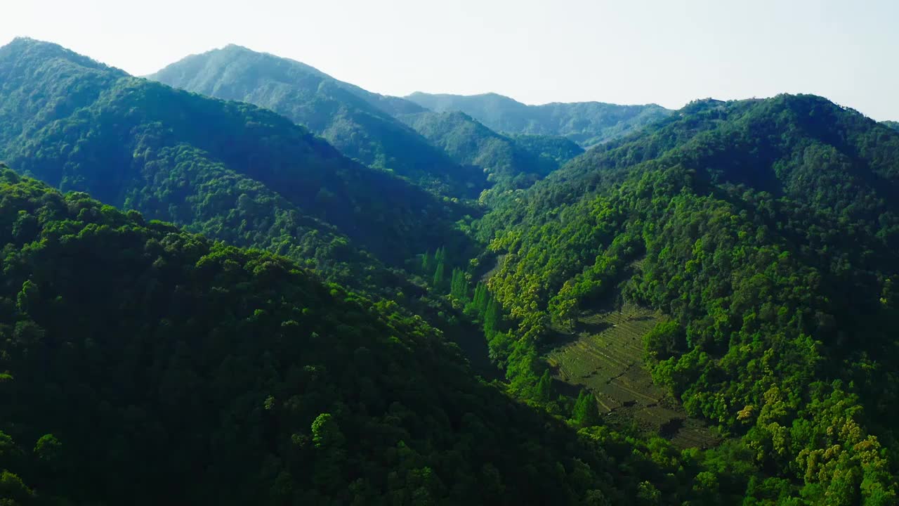 杭州西湖的绿色群山视频素材