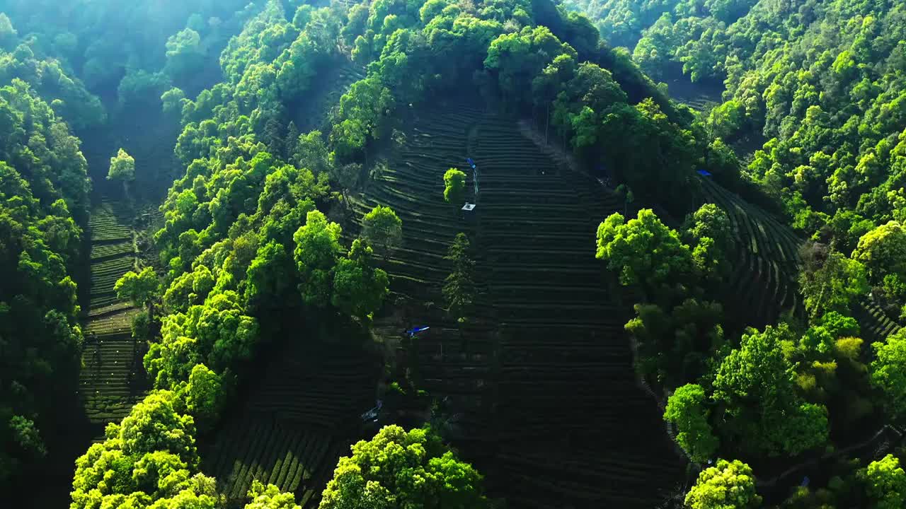 杭州西湖的绿色群山视频素材