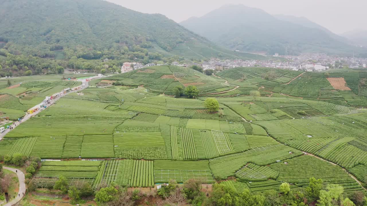 江南春天茶园采茶高低空航拍航拍视频素材