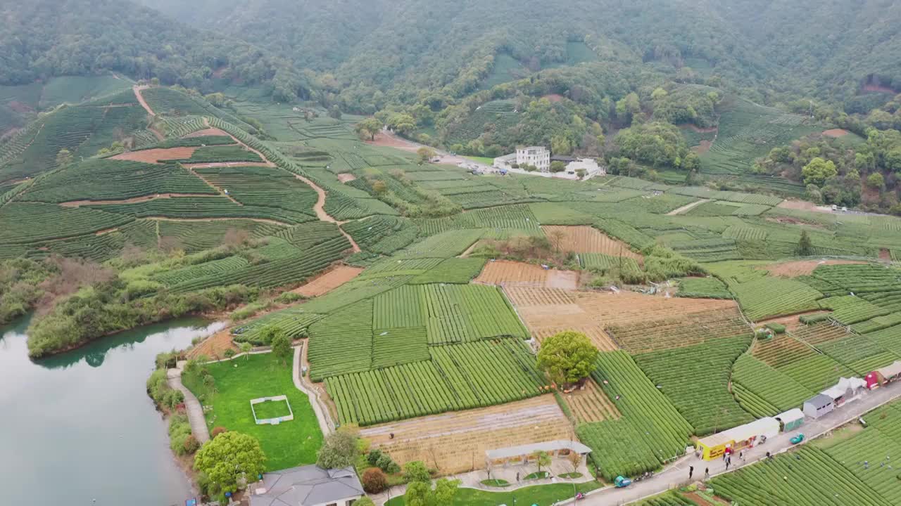 江南春天茶园采茶高低空航拍航拍视频素材