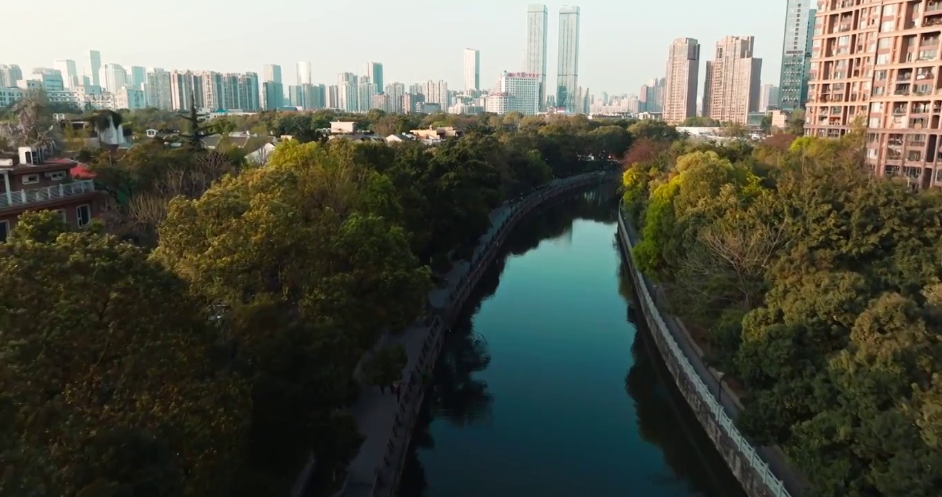 航拍成都公园城市绿树成荫美丽城市风景视频素材