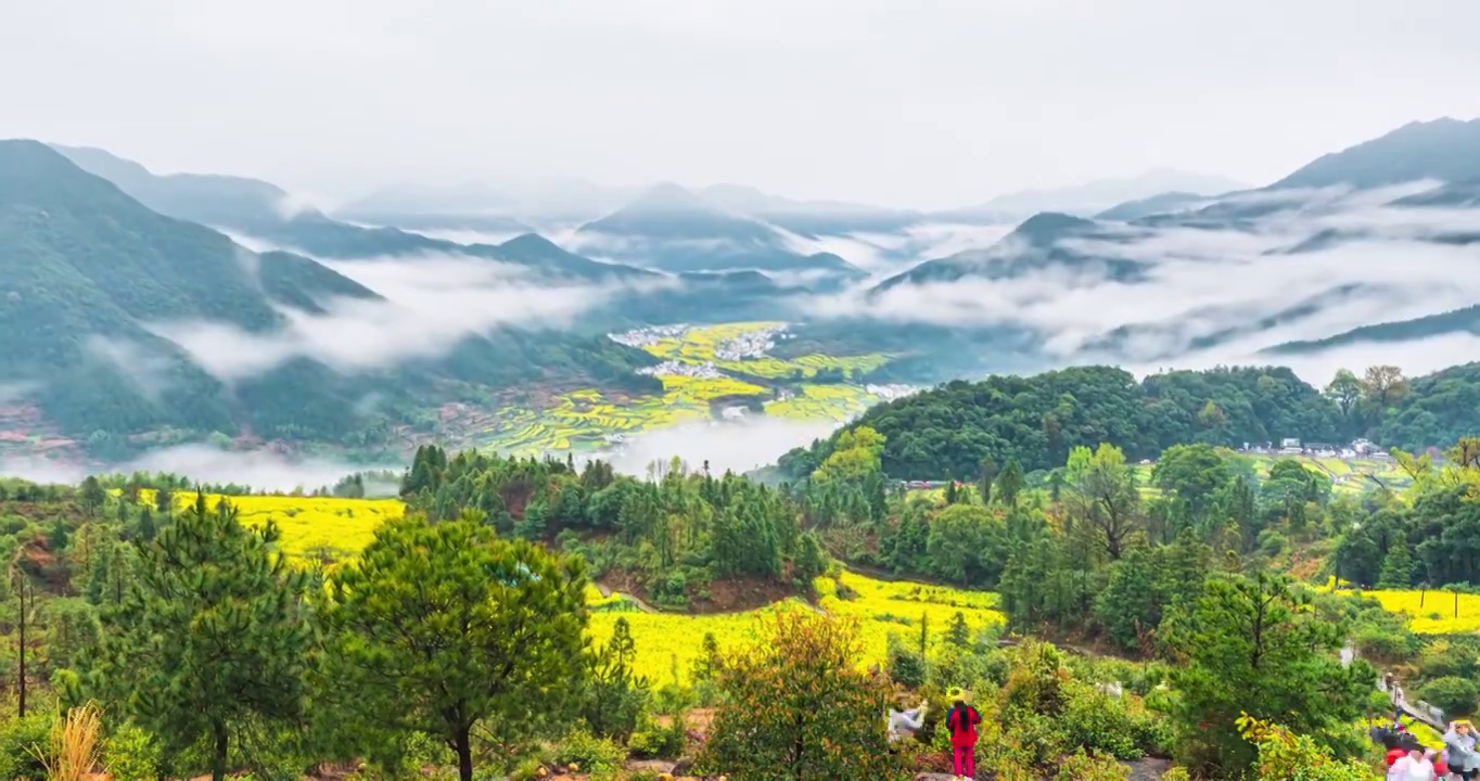 婺源江岭景区油菜花海云海梯田延时摄影视频素材