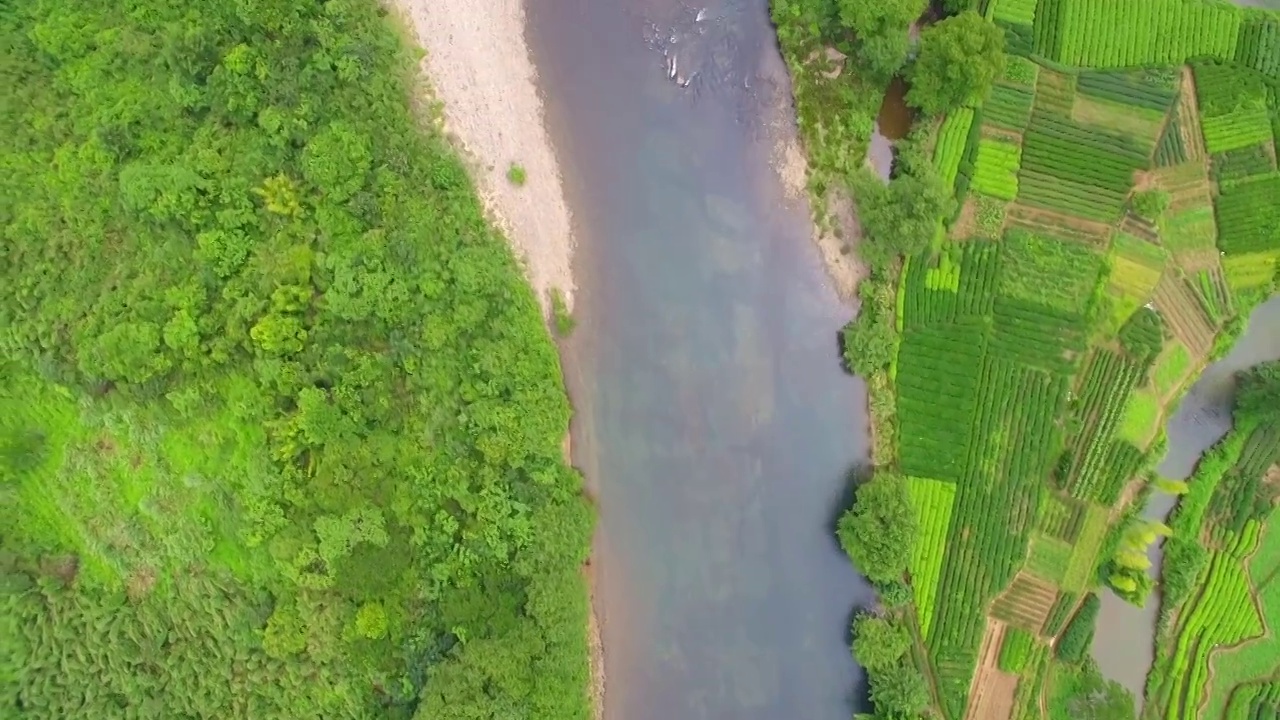 航拍武夷山九曲溪青山绿水丹霞地貌岩茶茶园与星村竹筏码头视频素材