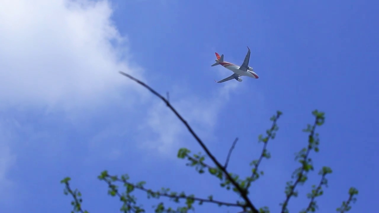 民航客机在蓝天白云上空飞行视频素材