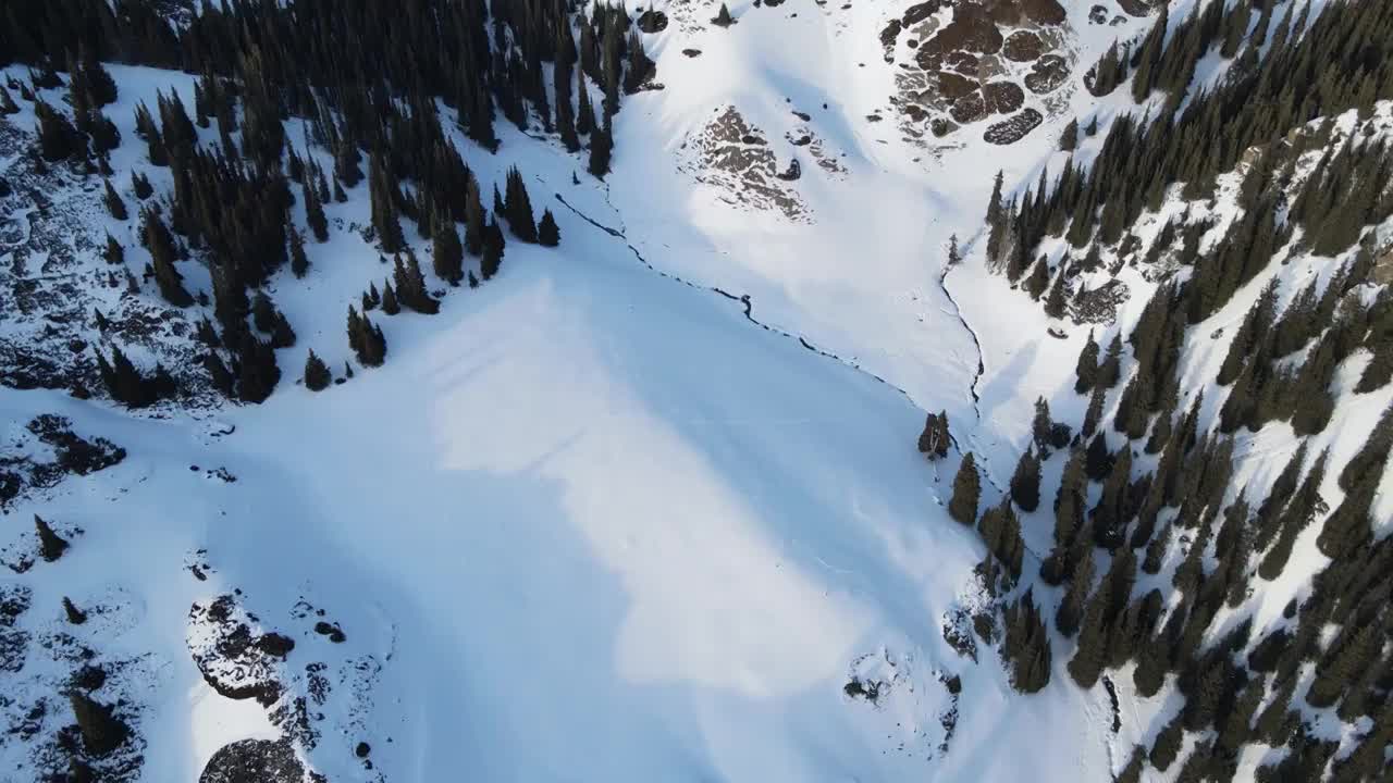 航拍新疆赛里木湖群山森林雪山冬季风光视频素材