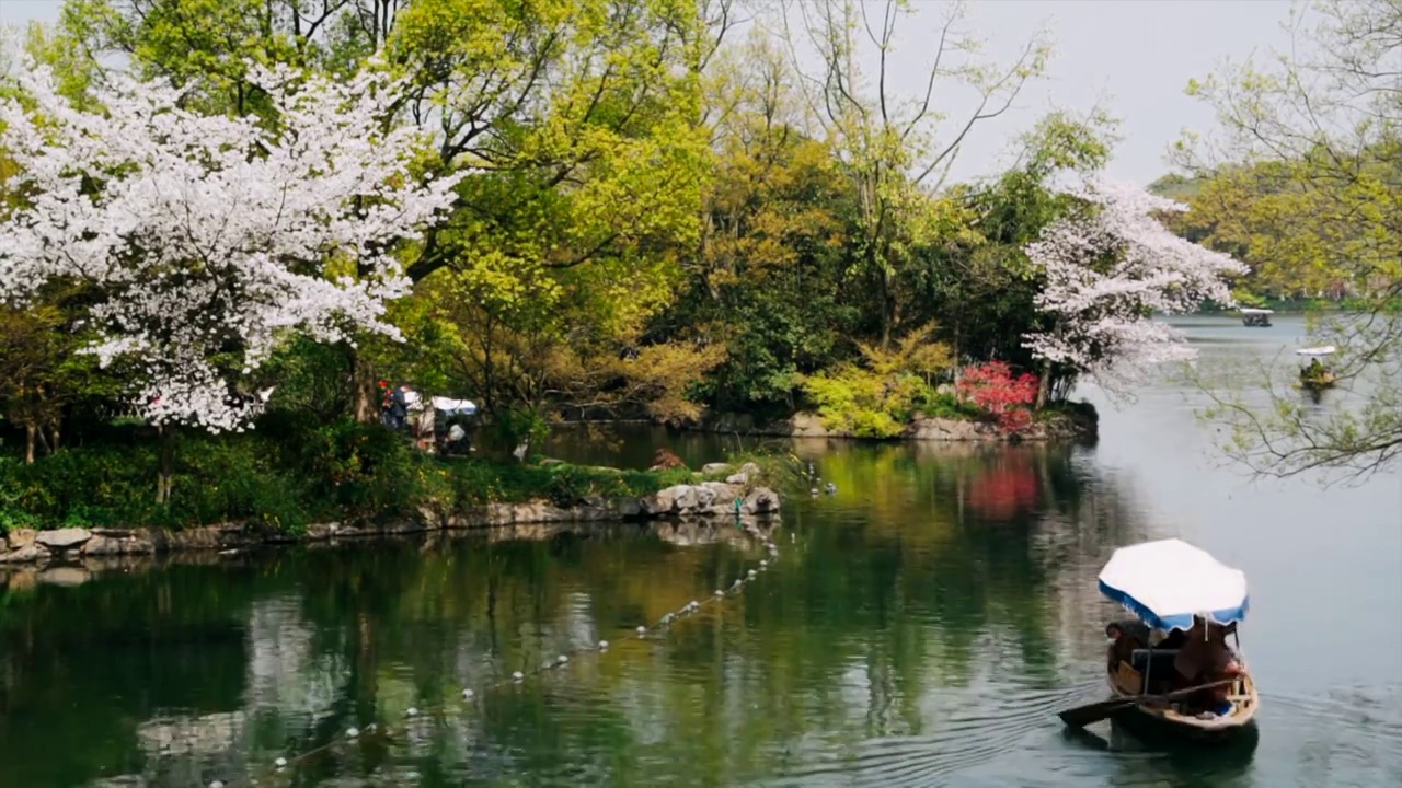 三月的杭州西湖春暧花开视频素材