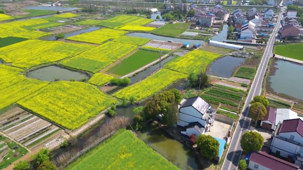 航拍中国安徽省宣城市郎溪县建平镇西郊村田园春光视频素材