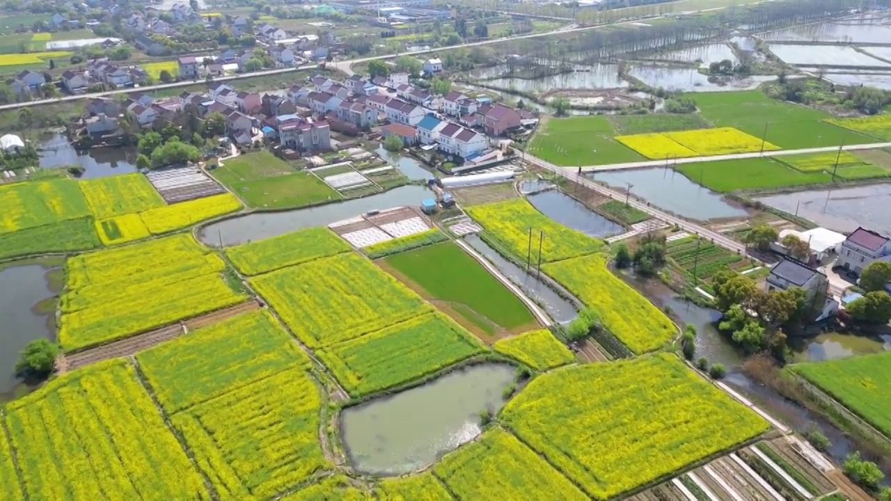 航拍中国安徽省宣城市郎溪县建平镇西郊村田园春光视频素材