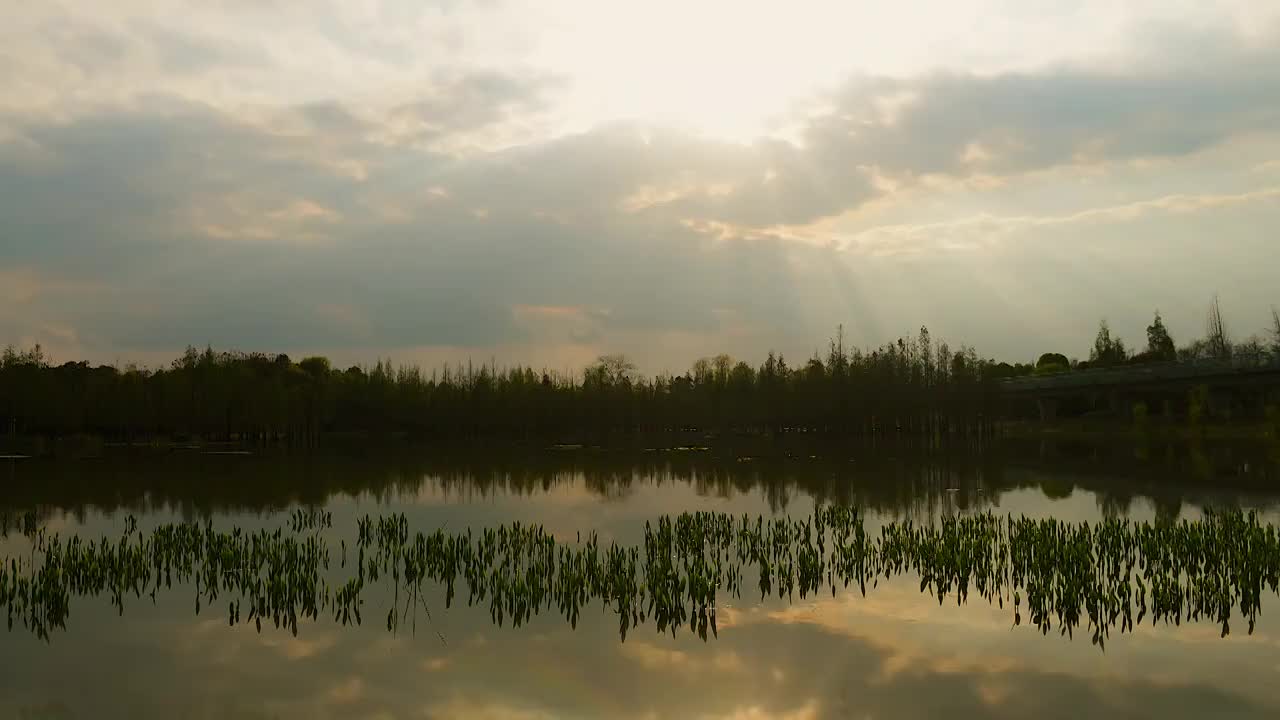 湖边天空树林倒影视频素材