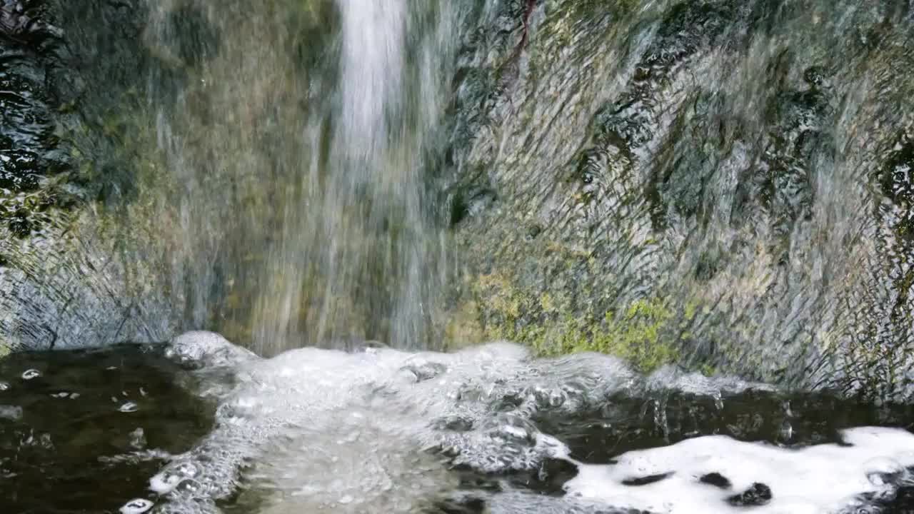 春天气息渐渐回暖大地形成了清澈的溪水沿山涧缓缓流淌发出潺潺声音冲刷着岩石初春溪水湍急形成了泉水瀑布视频素材