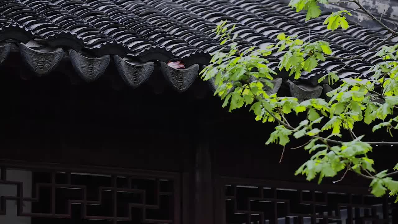 屋檐下雨视频下载