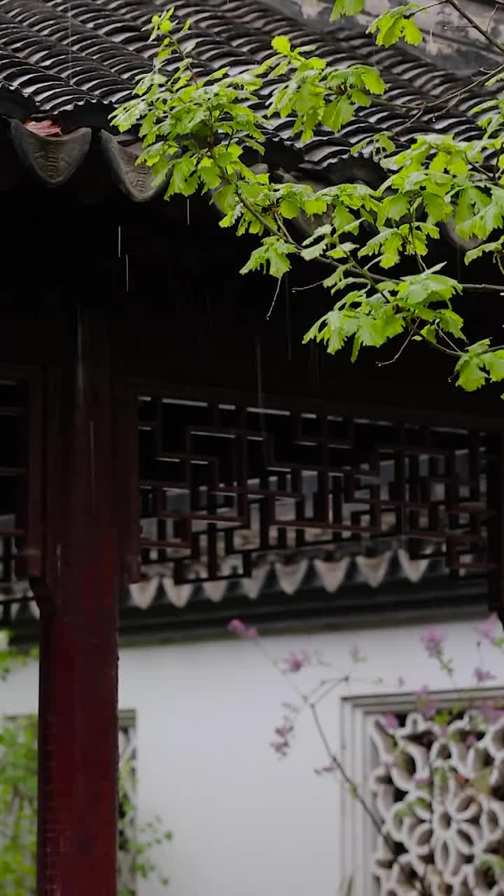 古建筑下雨视频素材