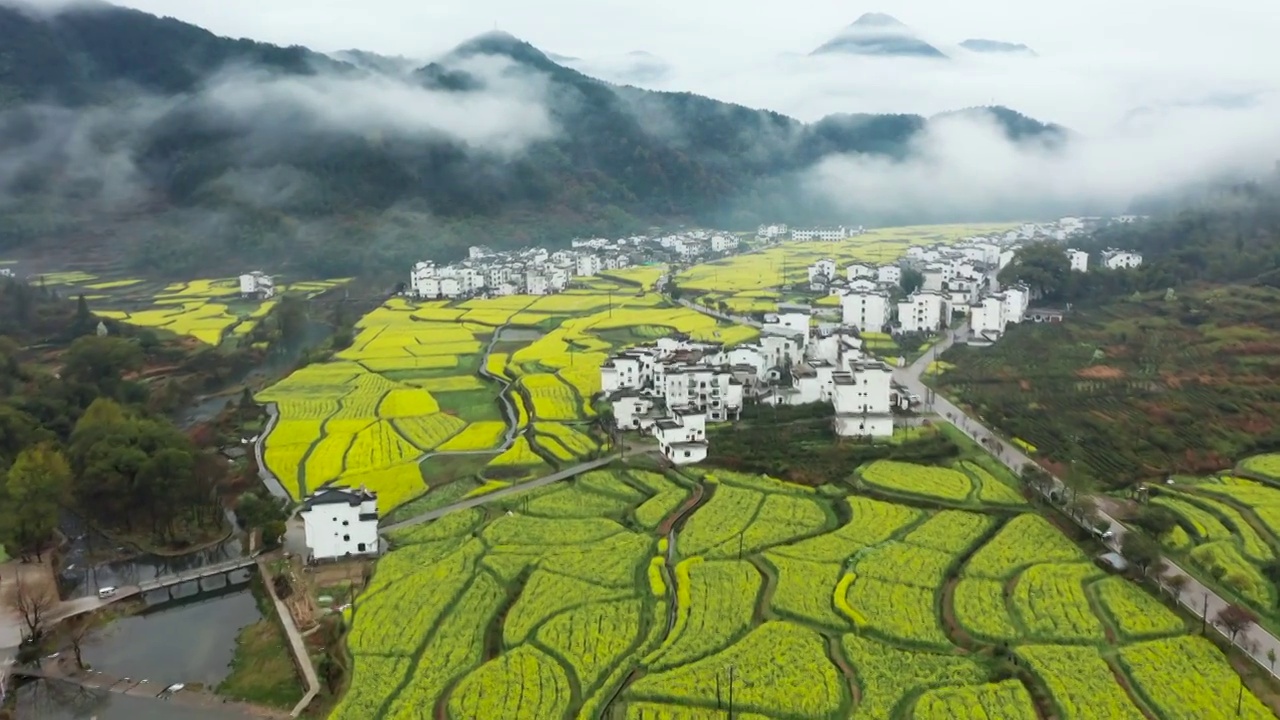 江西婺源徽派建筑油菜花云海风光航拍合集视频素材