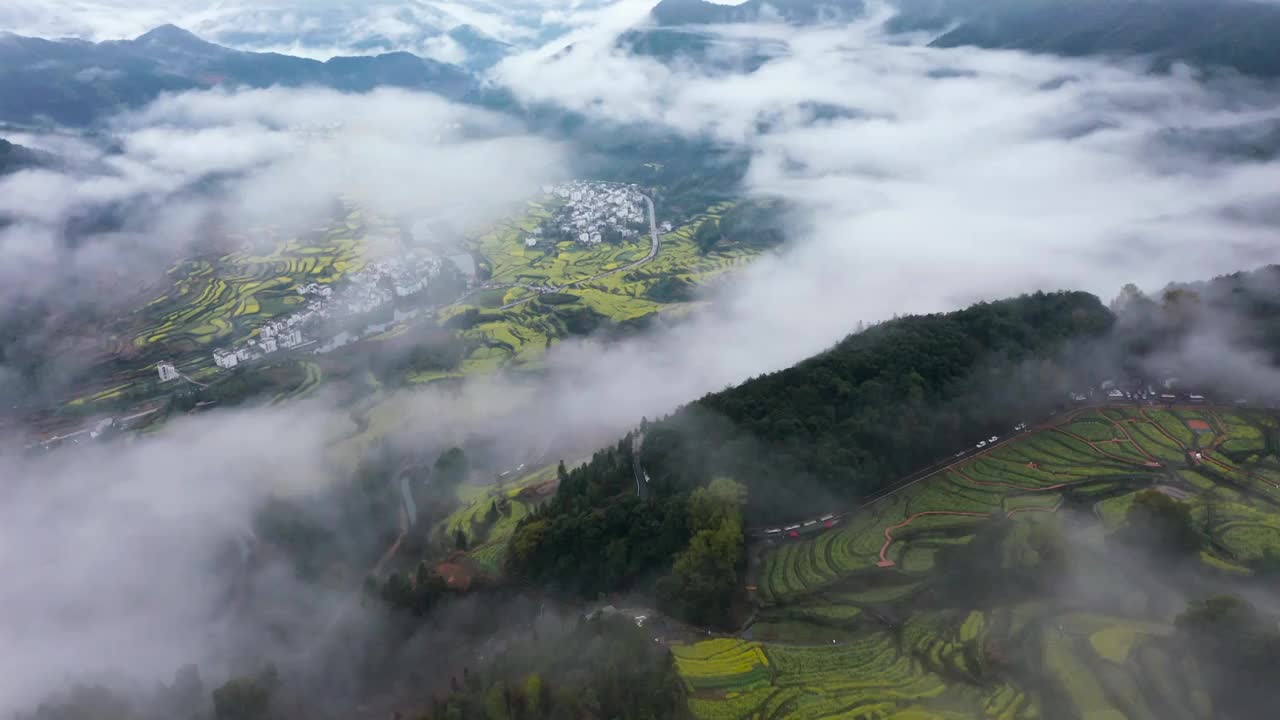 婺源江岭景区油菜花梯田云海风景航拍 合集（合集）视频素材