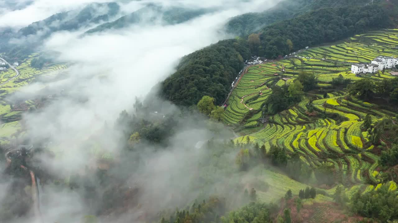 江西婺源油菜花梯田云海风光航拍 合集（合集）视频素材