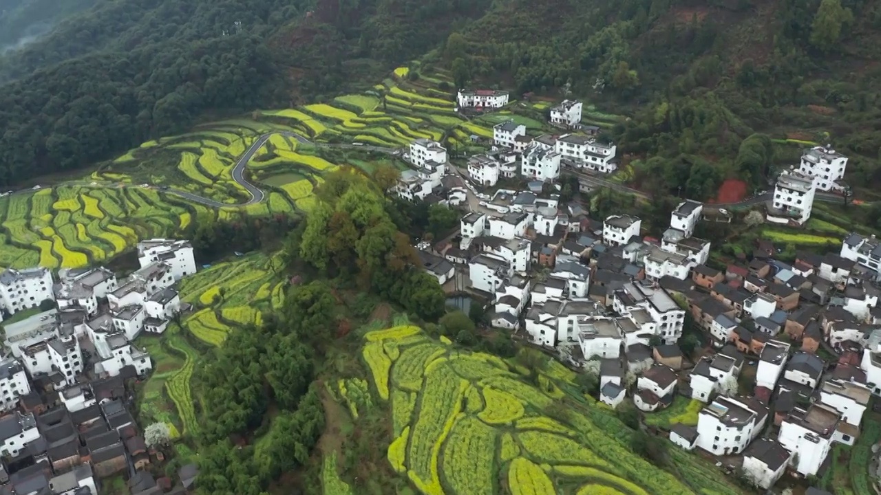 江西婺源江岭油菜花梯田田园人家风光航拍合集（合集）视频素材