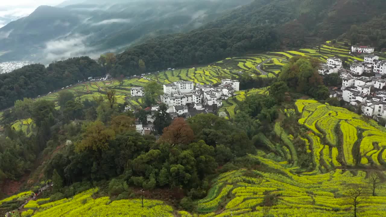 江西婺源江岭油菜花梯田徽派建筑古村落风光航拍合集（合集）视频素材