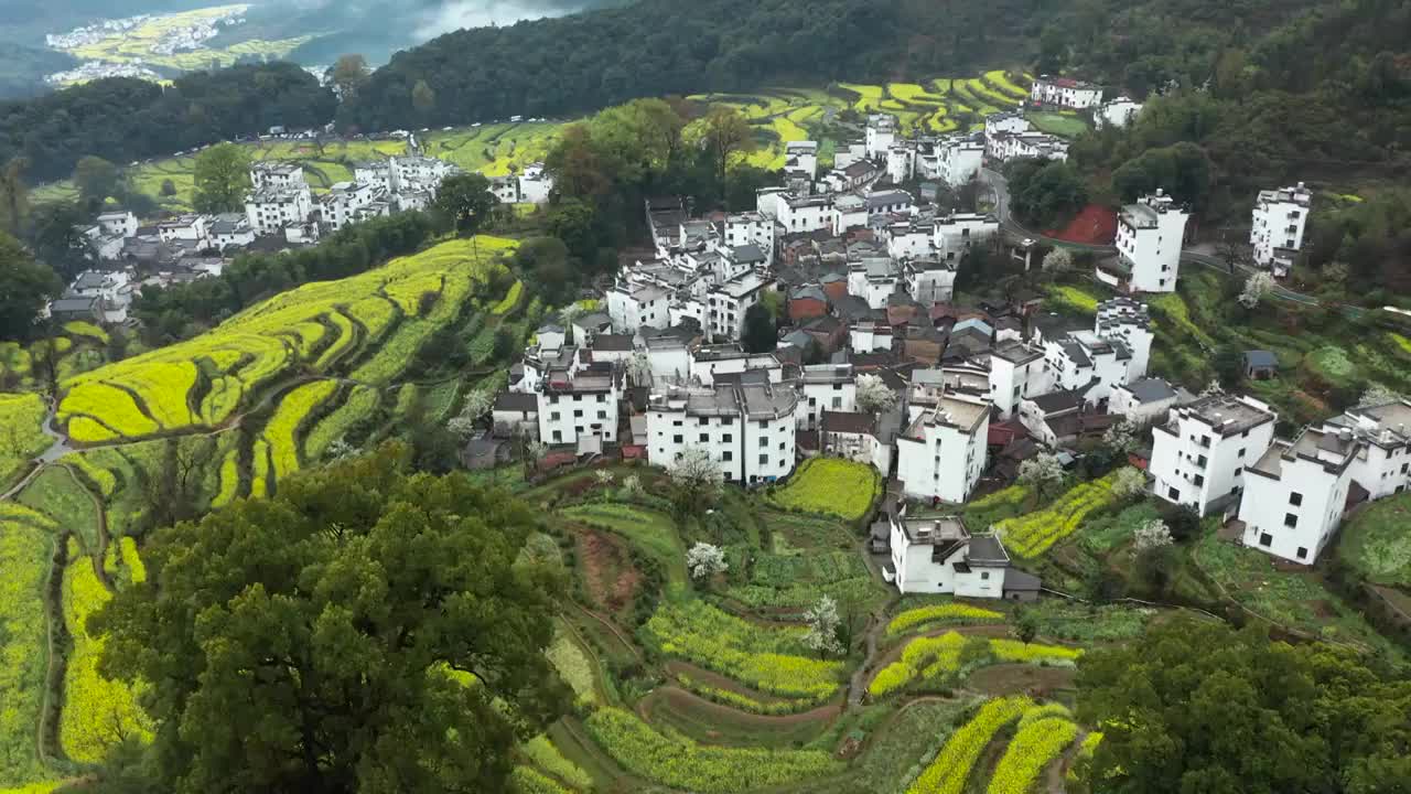 婺源江岭油菜花海梯田古村落田园风光航拍合集（合集）视频素材