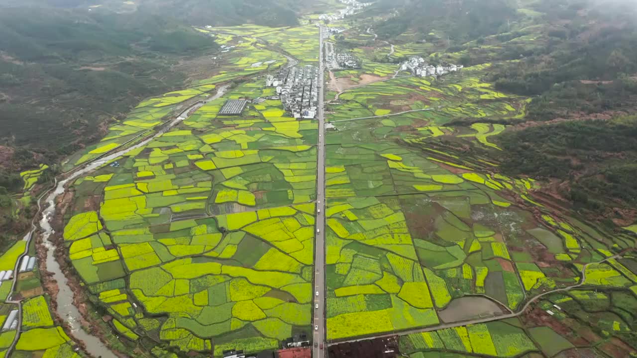 江西婺源油菜花田园公路风光鸟瞰航拍合集（合集）视频素材