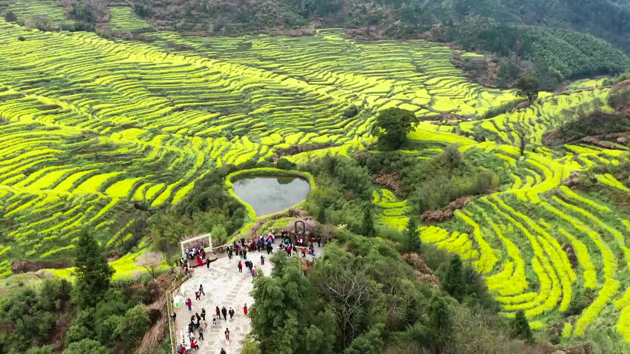 江西婺源篁岭景区油菜花梯田花海风光航拍合集（合集）视频素材