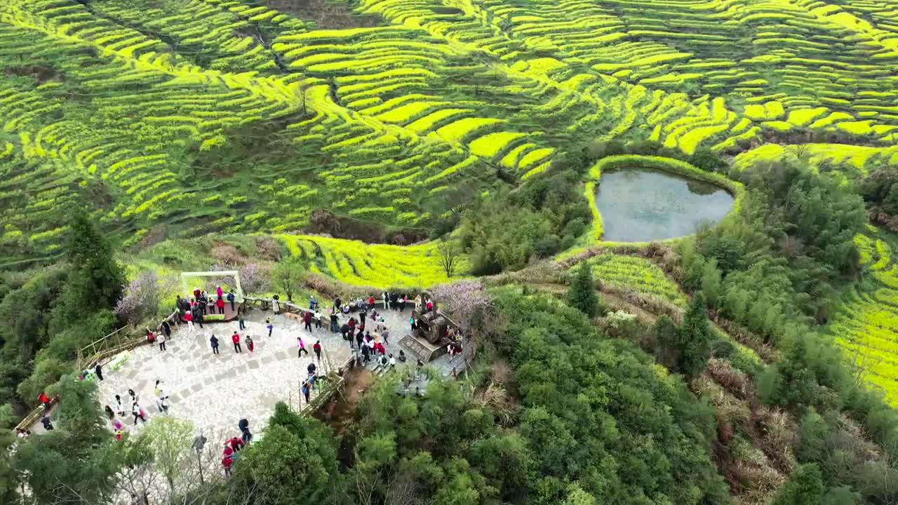 婺源篁岭油菜花海梯田航拍合集（合集）视频素材