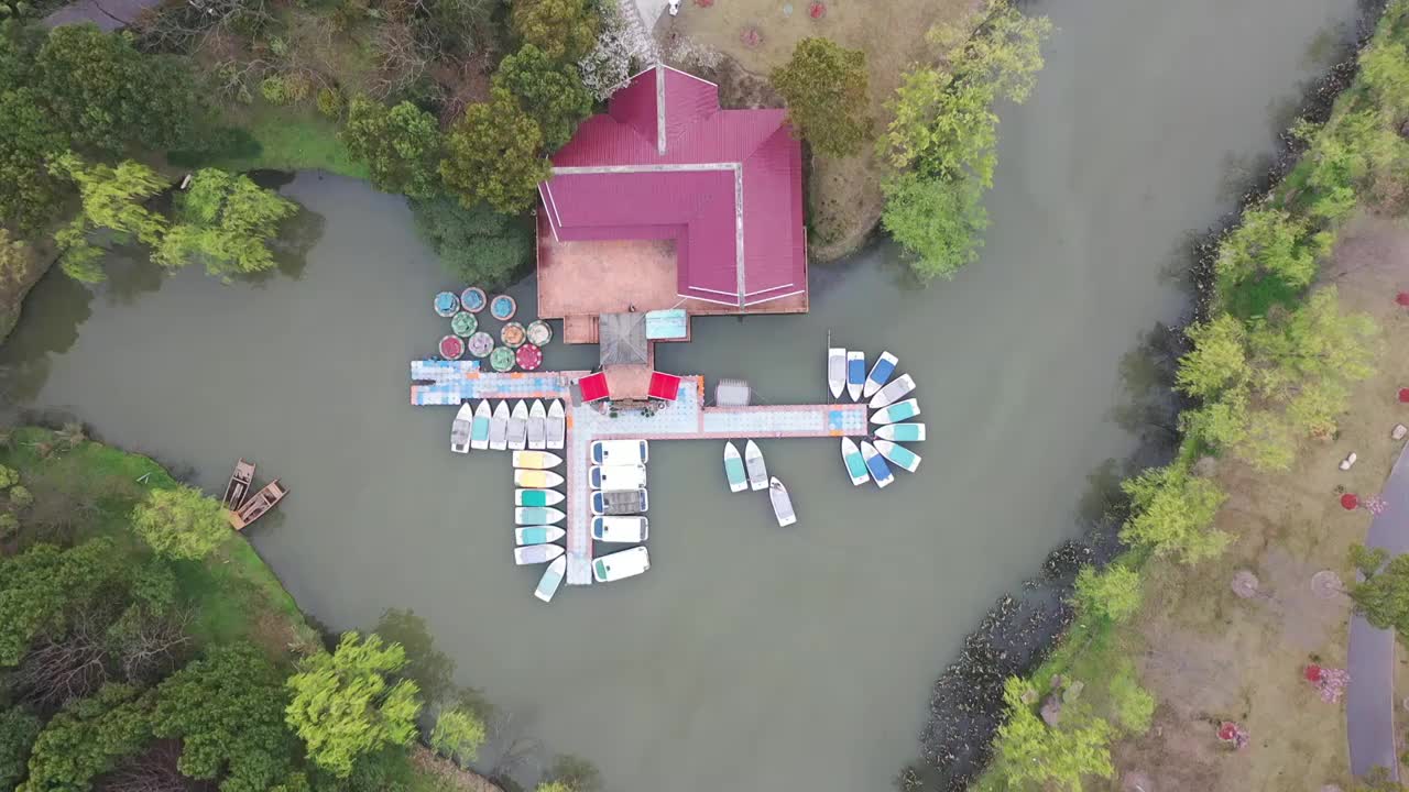 航拍上海顾村公园视频素材