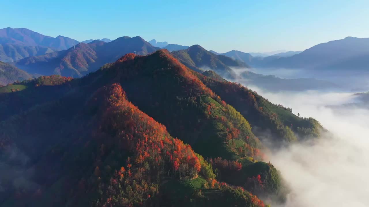 皖南群山清晨云海视频下载