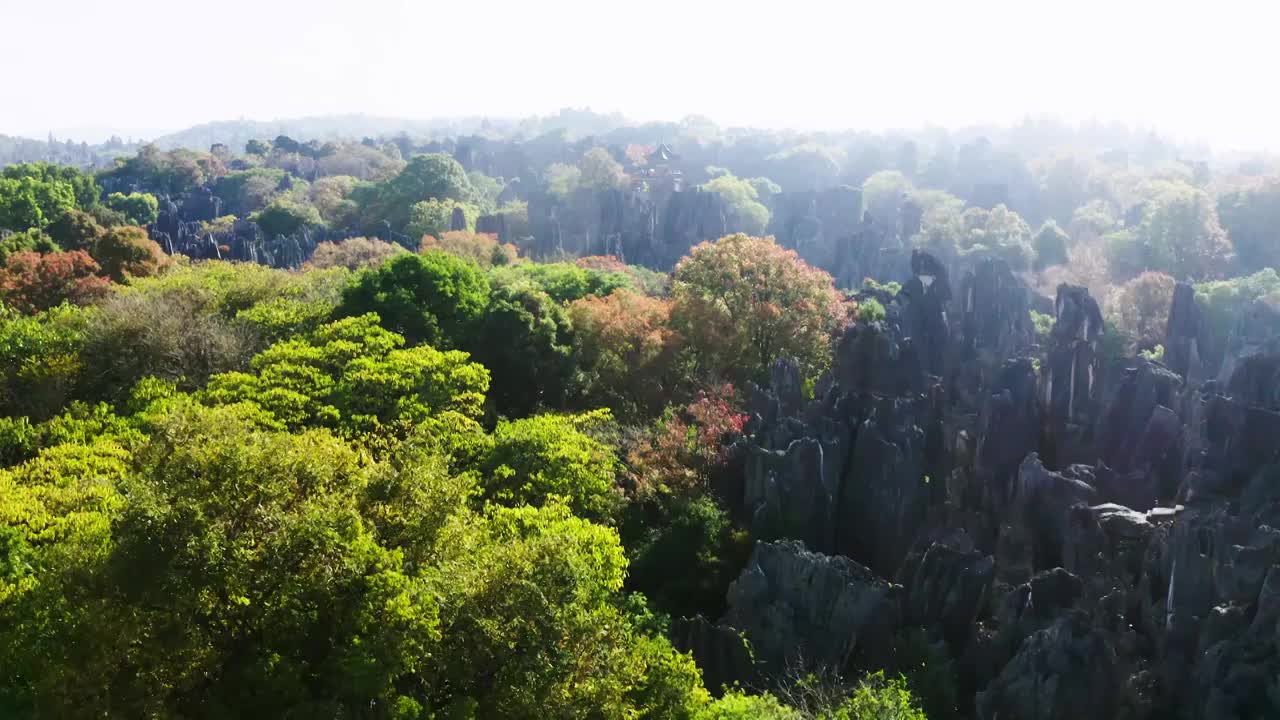 s石林风景区   航拍视频素材