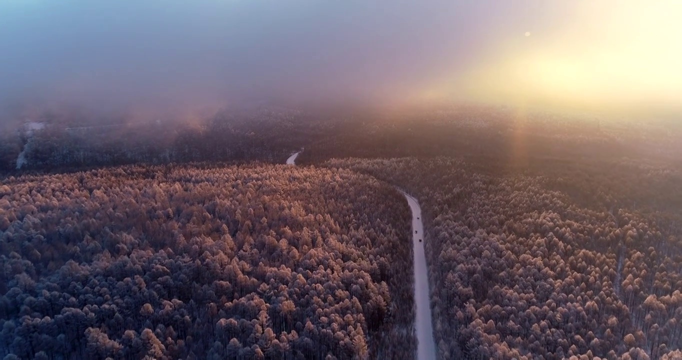 航拍冬季雪林山路雾凇晨雾朝阳视频素材