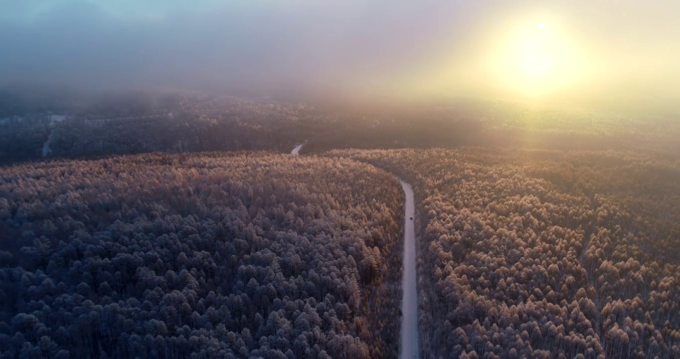 航拍冬季雪林山路雾凇晨雾朝阳视频素材