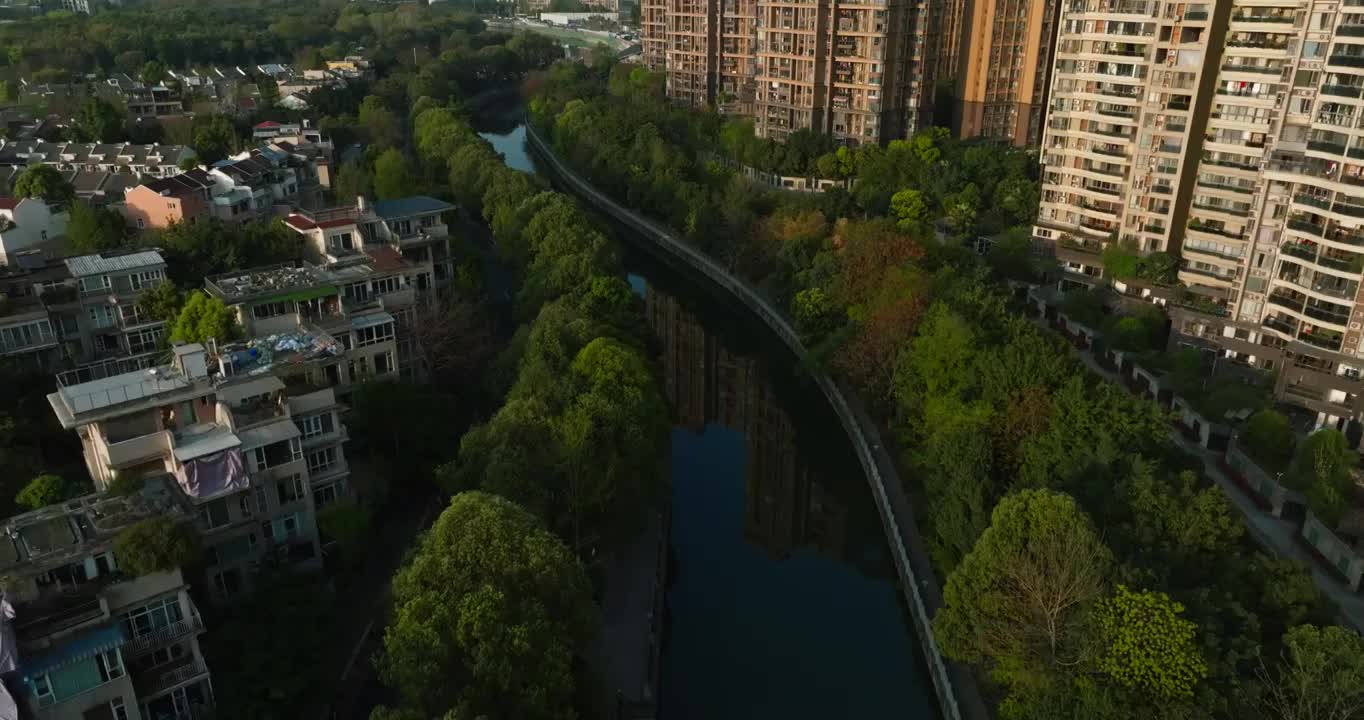 航拍成都公园城市绿树成荫美丽城市风景视频素材