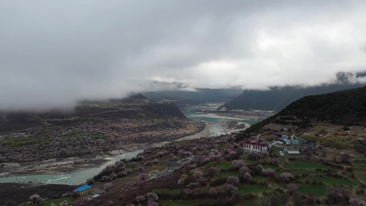 索松村桃花与多雄拉雪山航拍视频素材