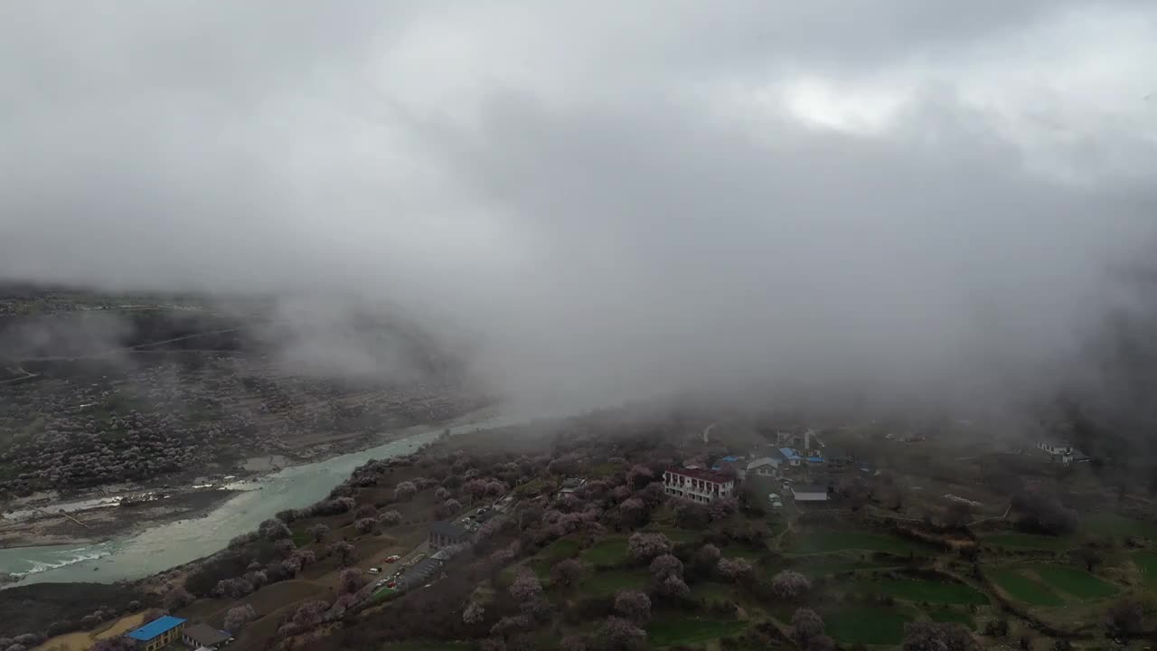 索松村桃花与多雄拉雪山航拍视频素材