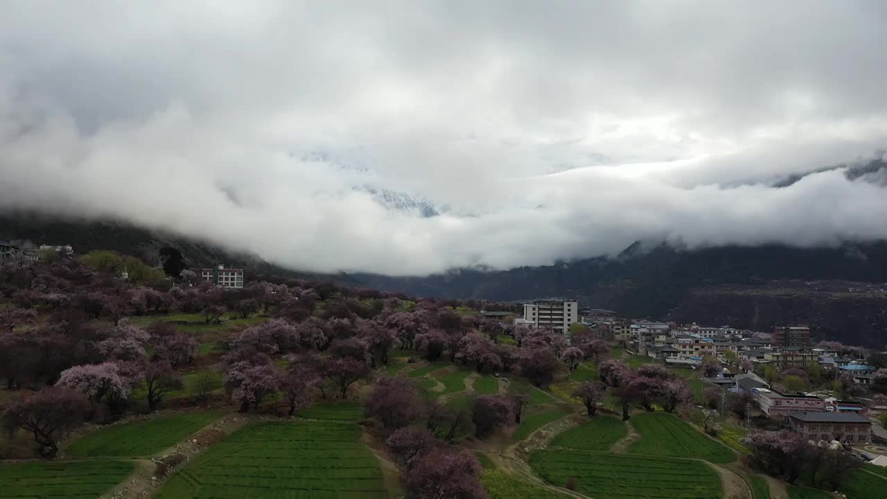 索松村桃花与南迦巴瓦峰航拍视频素材