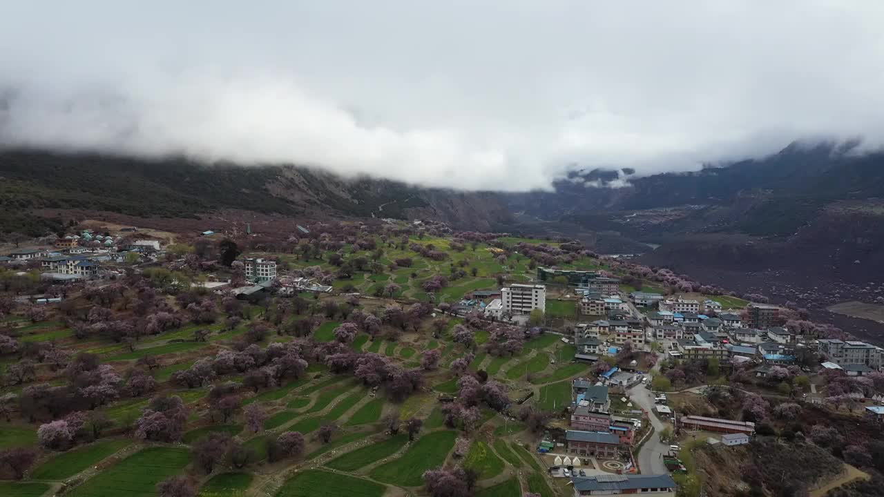 索松村桃花与南迦巴瓦峰航拍视频素材