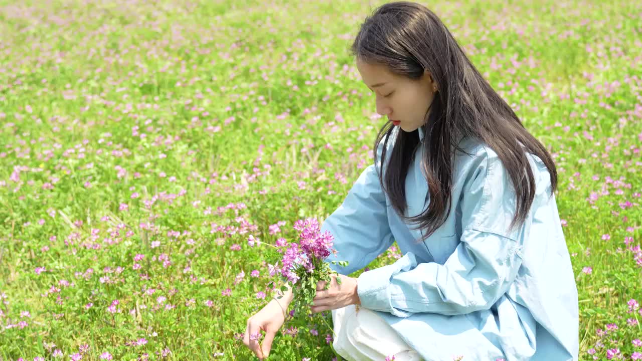 春天紫云英花海蜜蜂美丽乡村振兴美少女采花视频素材