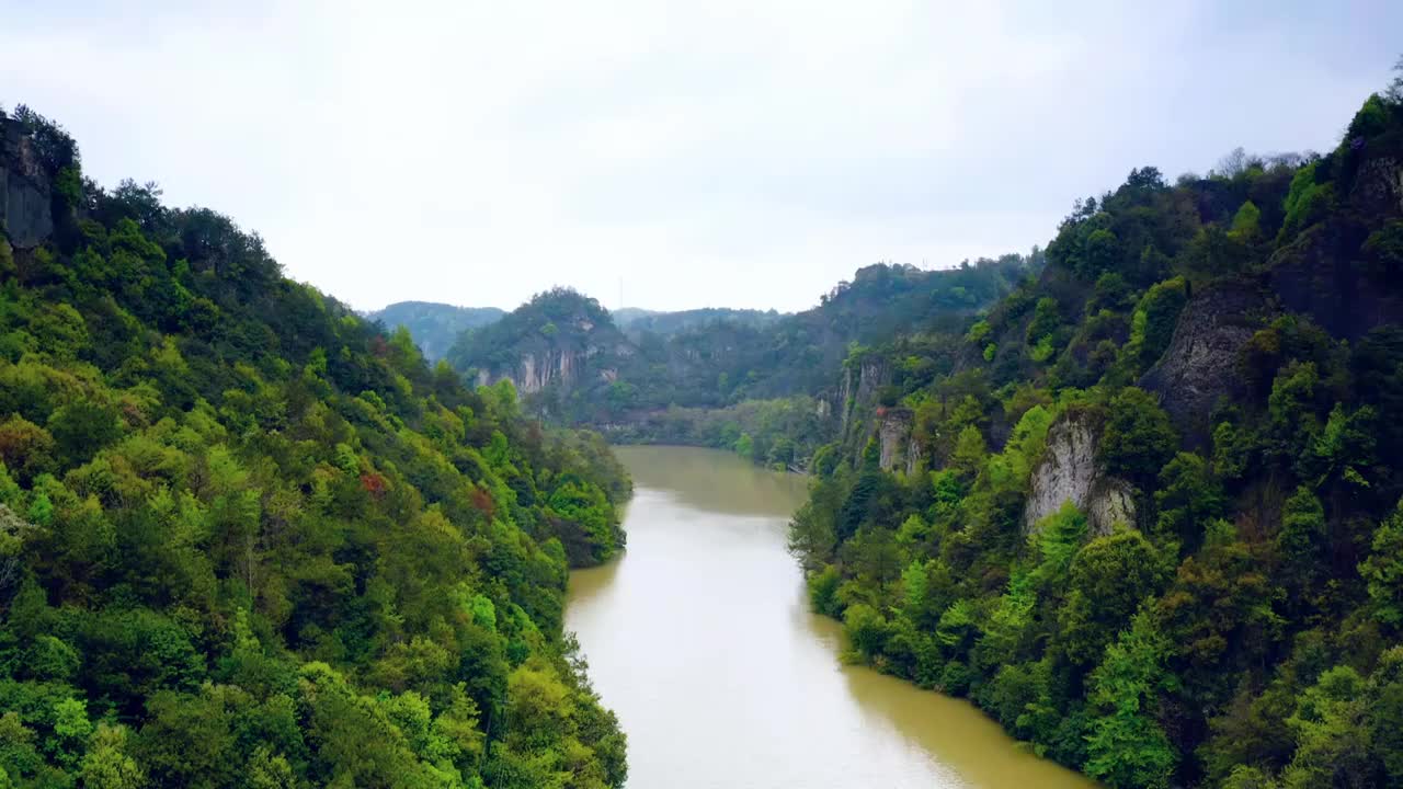 青翠的河谷视频素材